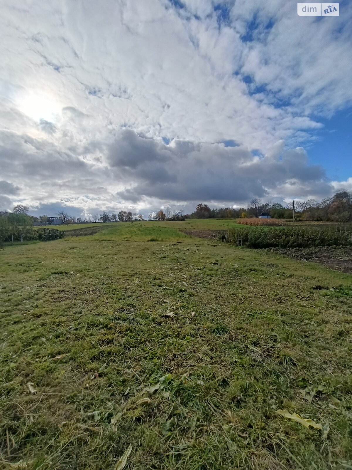 Земельна ділянка під житлову забудову в Широкій Греблі, площа 25 соток фото 1 Земельна ділянка під житлову забудову в Широкій Греблі, площа 25 соток фото 1