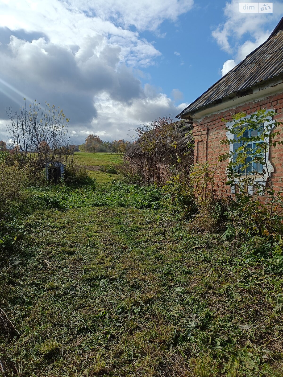 Земельна ділянка під житлову забудову в Широкій Греблі, площа 25 соток фото 1 Земельна ділянка під житлову забудову в Широкій Греблі, площа 25 соток фото 1