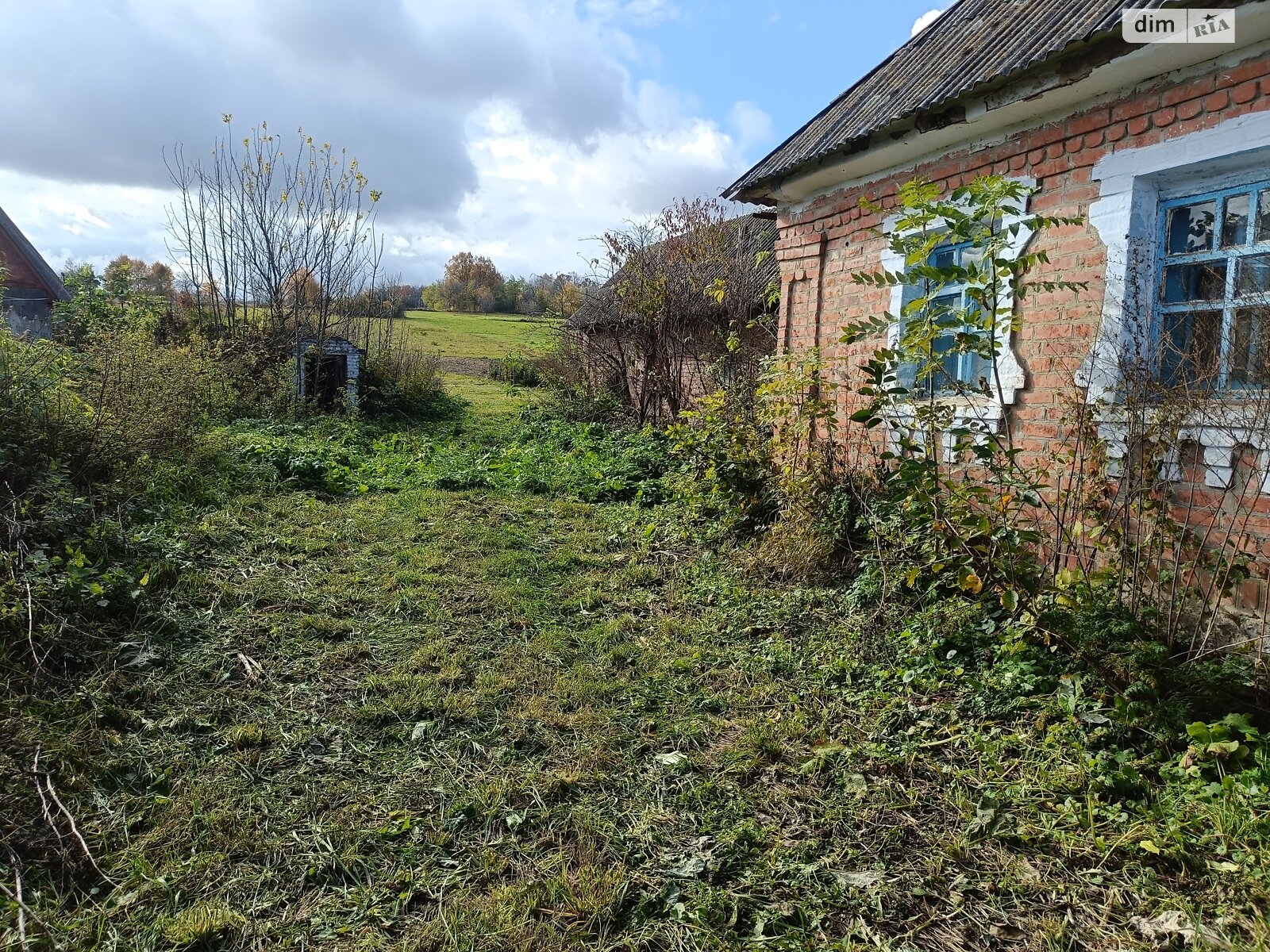 Земельна ділянка під житлову забудову в Широкій Греблі, площа 25 соток фото 1 Земельна ділянка під житлову забудову в Широкій Греблі, площа 25 соток фото 1