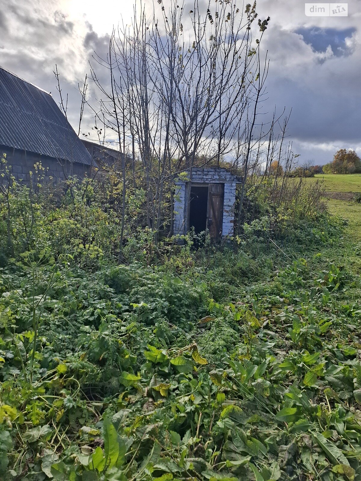 Земельный участок под жилую застройку в Широкой Гребле, площадь 25 соток фото 1