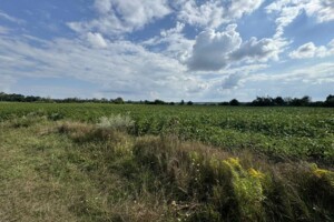 Земельна ділянка під житлову забудову в Широкій Греблі, площа 24 сотки фото 2
