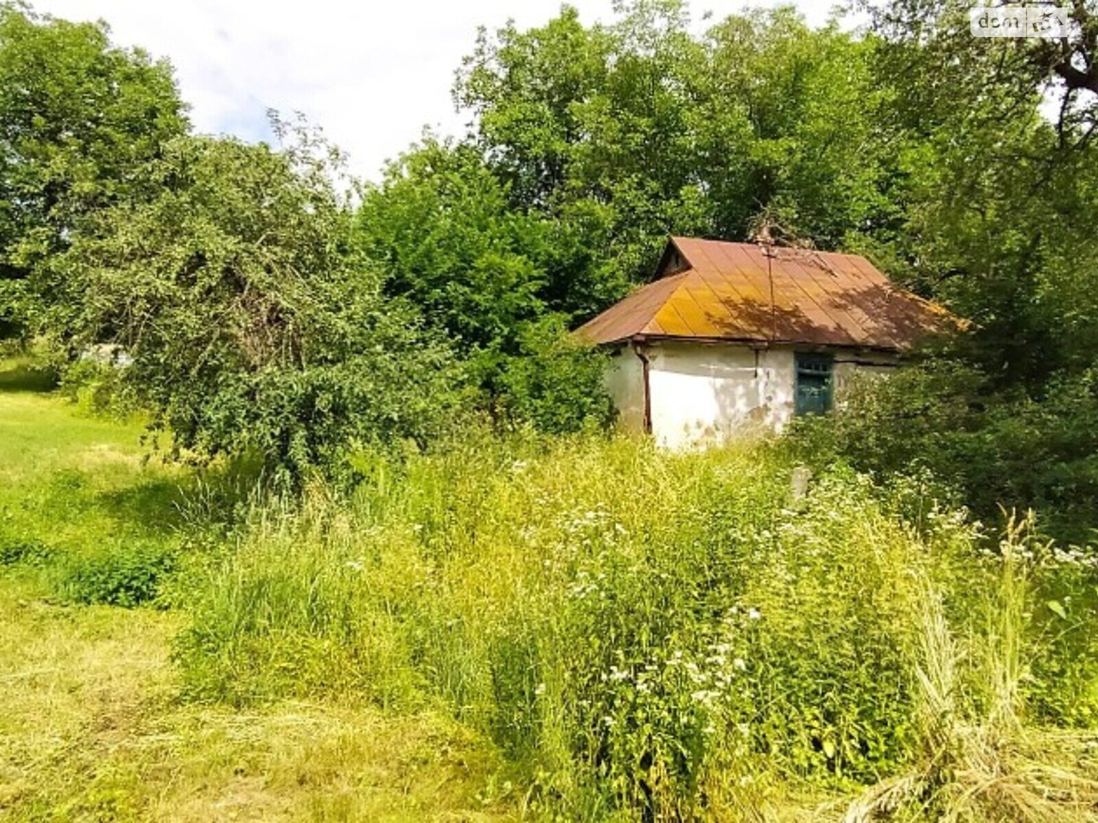 Земельна ділянка під житлову забудову в Шкарівці, площа 34 сотки фото 1