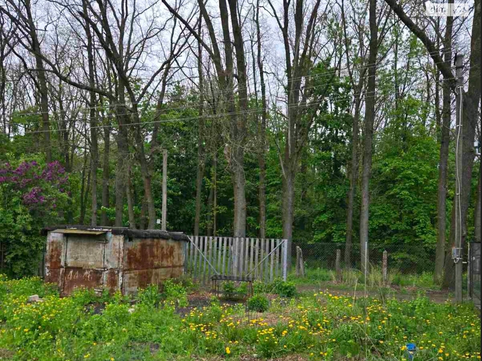 Земельна ділянка під житлову забудову в Шкуринцях, площа 5.12 сотки фото 1 Земельна ділянка під житлову забудову в Шкуринцях, площа 5.12 сотки фото 1
