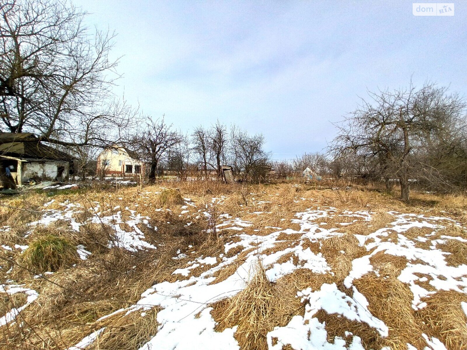 Земельна ділянка під житлову забудову в Шкуринцях, площа 25 соток фото 1