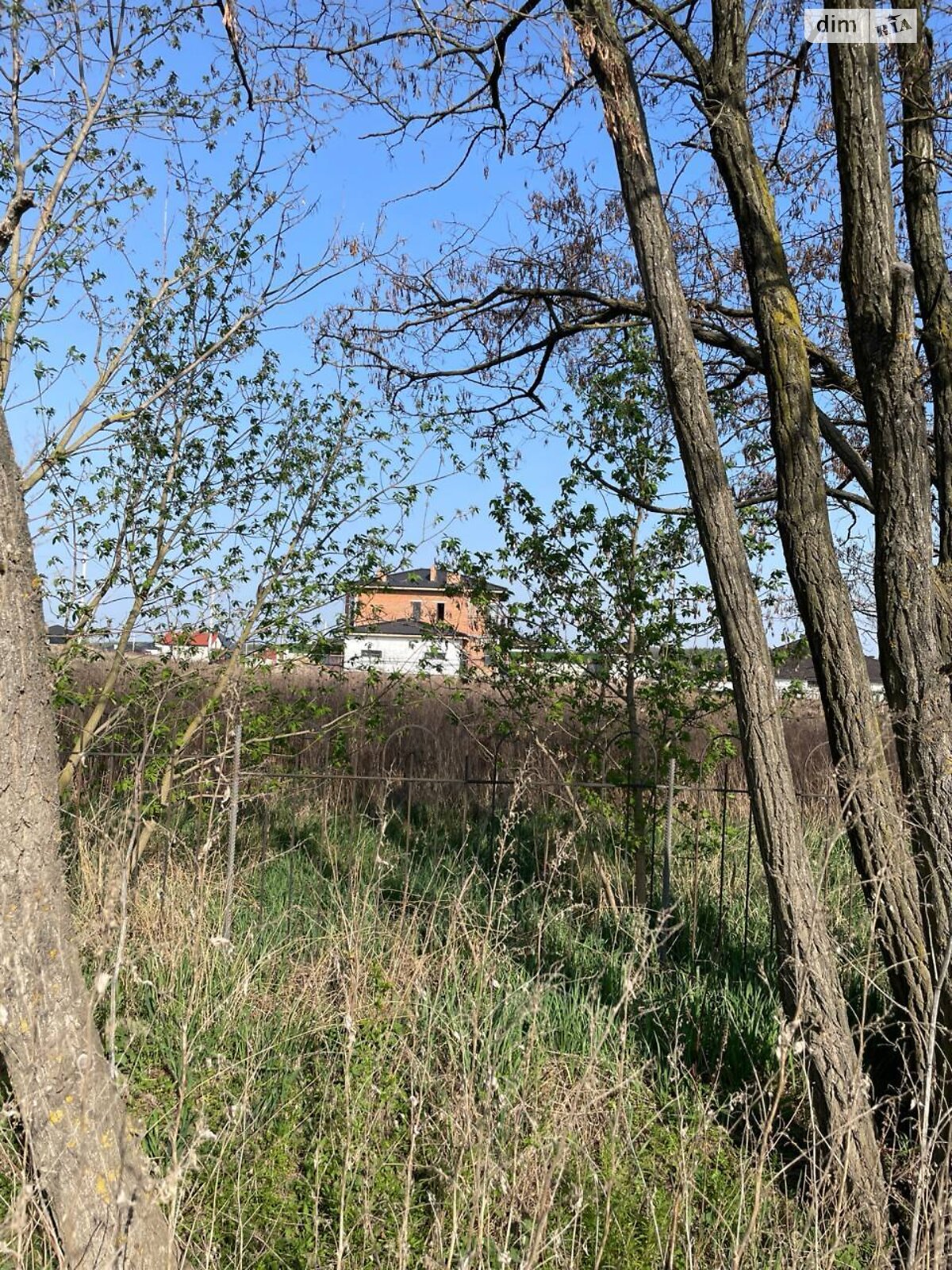 Земельна ділянка під житлову забудову в Шкуринцях, площа 8 соток фото 1