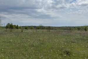 Земельна ділянка під житлову забудову в Прибузькому, площа 8 соток фото 2