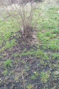 Земля під житлову забудову в Синельникове, район Синельникове, площа 10 соток фото 2