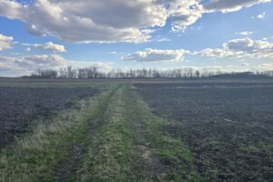 Земельный участок под жилую застройку в Сингуры, площадь 12 соток фото 2