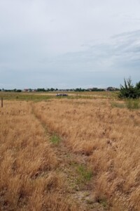 Земельный участок под жилую застройку в Синяке, площадь 15 соток фото 2