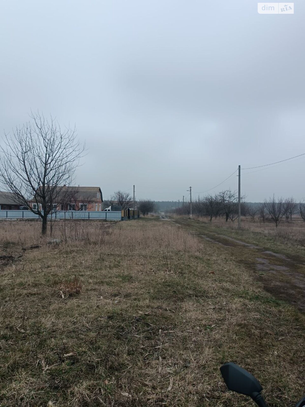 Земельна ділянка під житлову забудову в Сиваківцях, площа 25 соток фото 1