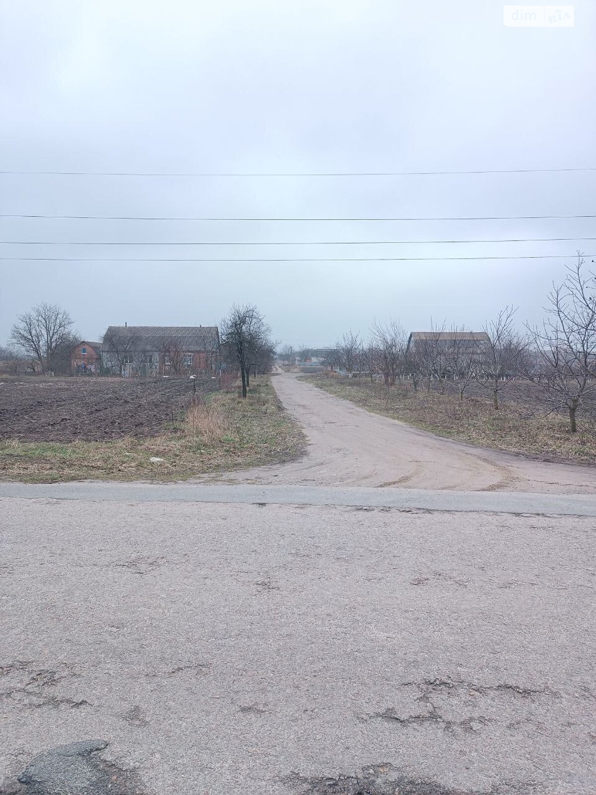 Земельна ділянка під житлову забудову в Сиваківцях, площа 25 соток фото 1