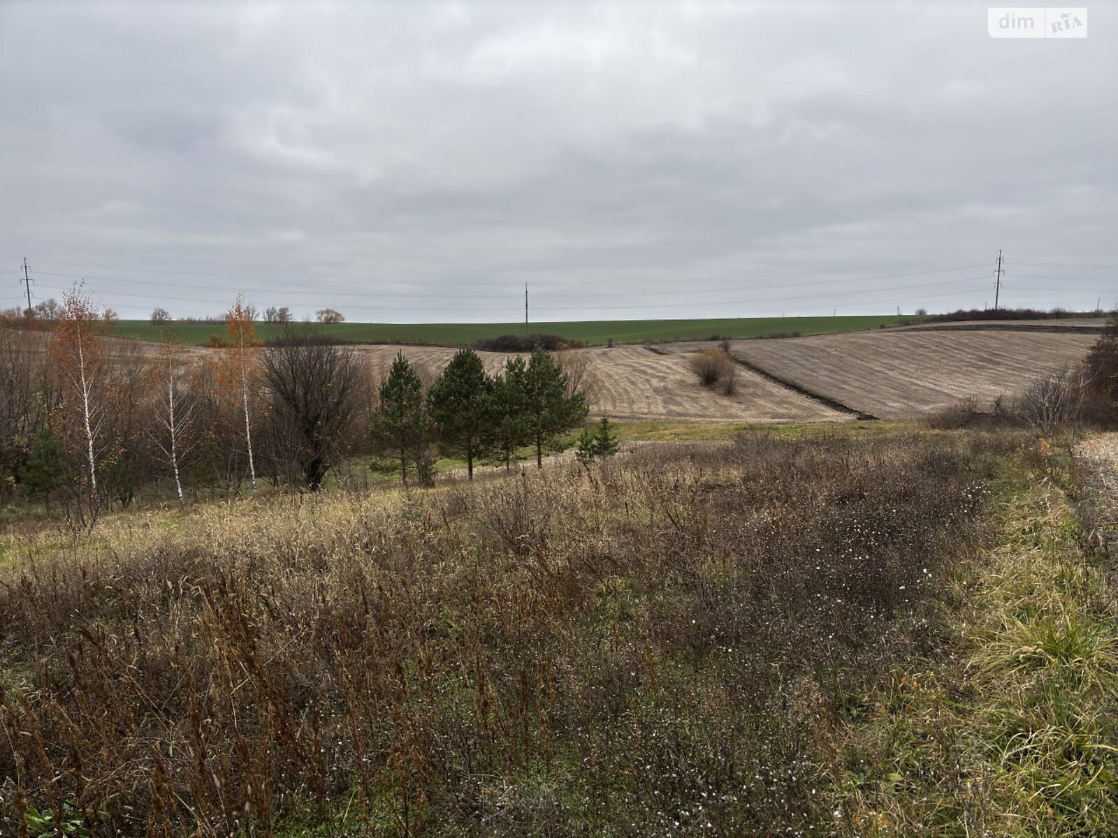 Земельный участок под жилую застройку в Скаржинцах, площадь 25 соток фото 1