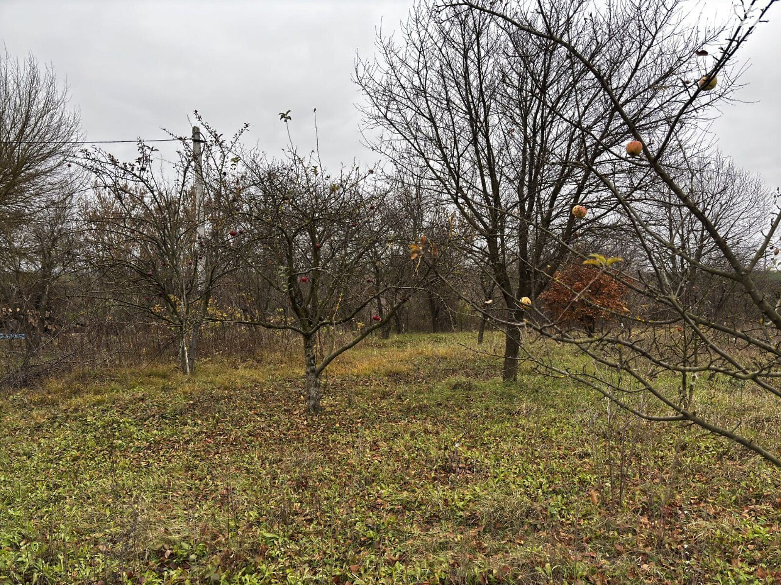 Земельный участок под жилую застройку в Скаржинцах, площадь 25 соток фото 1