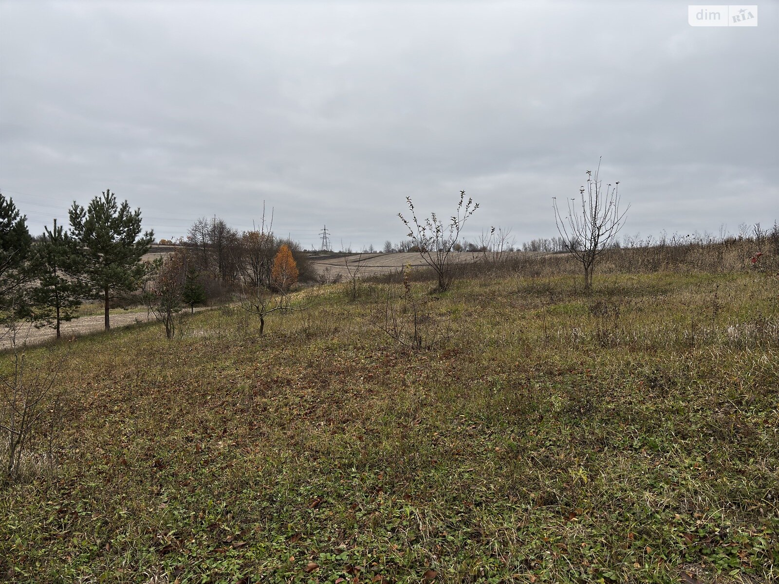 Земельный участок под жилую застройку в Скаржинцах, площадь 25 соток фото 1