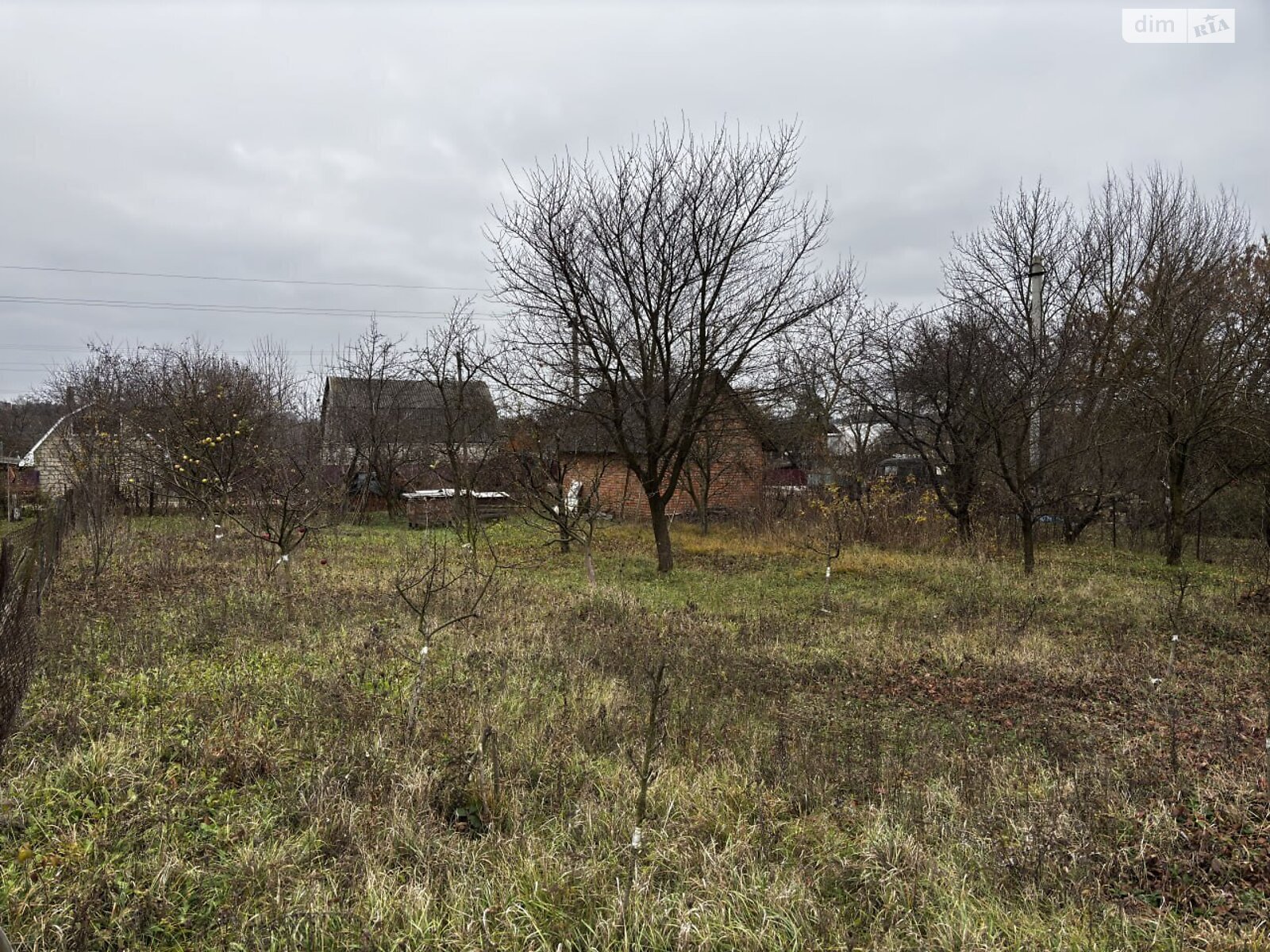 Земельный участок под жилую застройку в Скаржинцах, площадь 25 соток фото 1