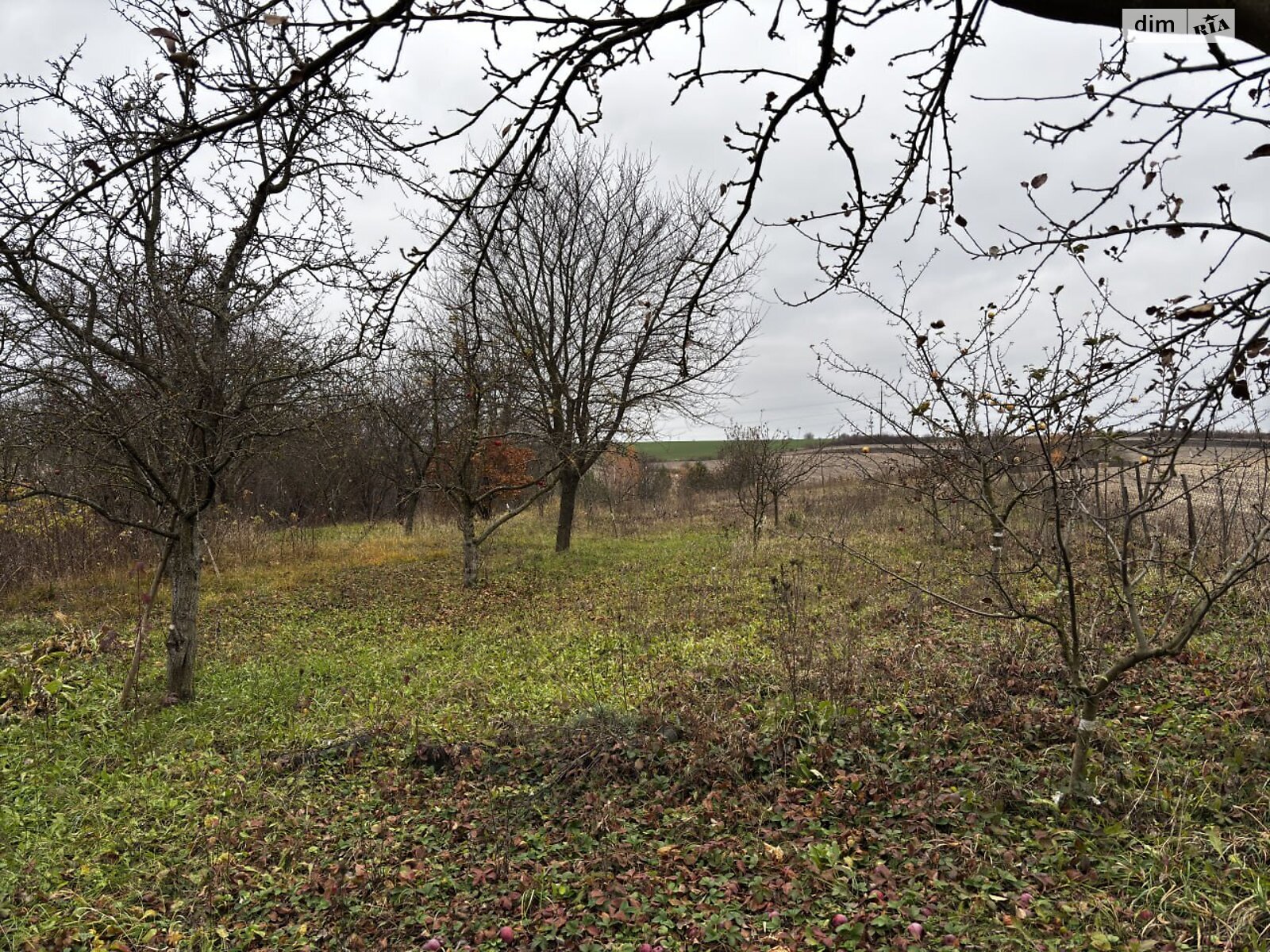 Земельный участок под жилую застройку в Скаржинцах, площадь 25 соток фото 1