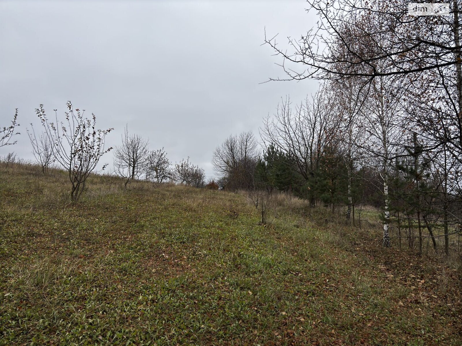 Земельный участок под жилую застройку в Скаржинцах, площадь 25 соток фото 1