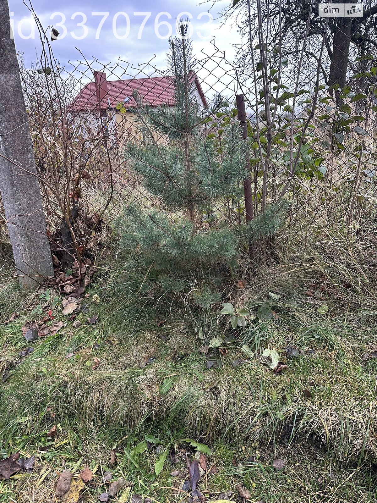 Земельна ділянка під житлову забудову в Скнилові, площа 21.26 сотки фото 1