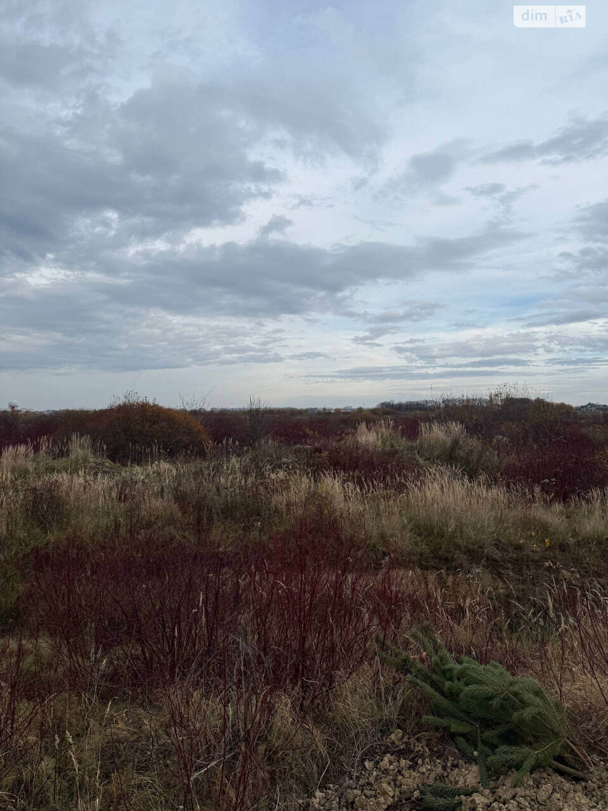 Земельный участок под жилую застройку в Скнилове, площадь 6 Га фото 1