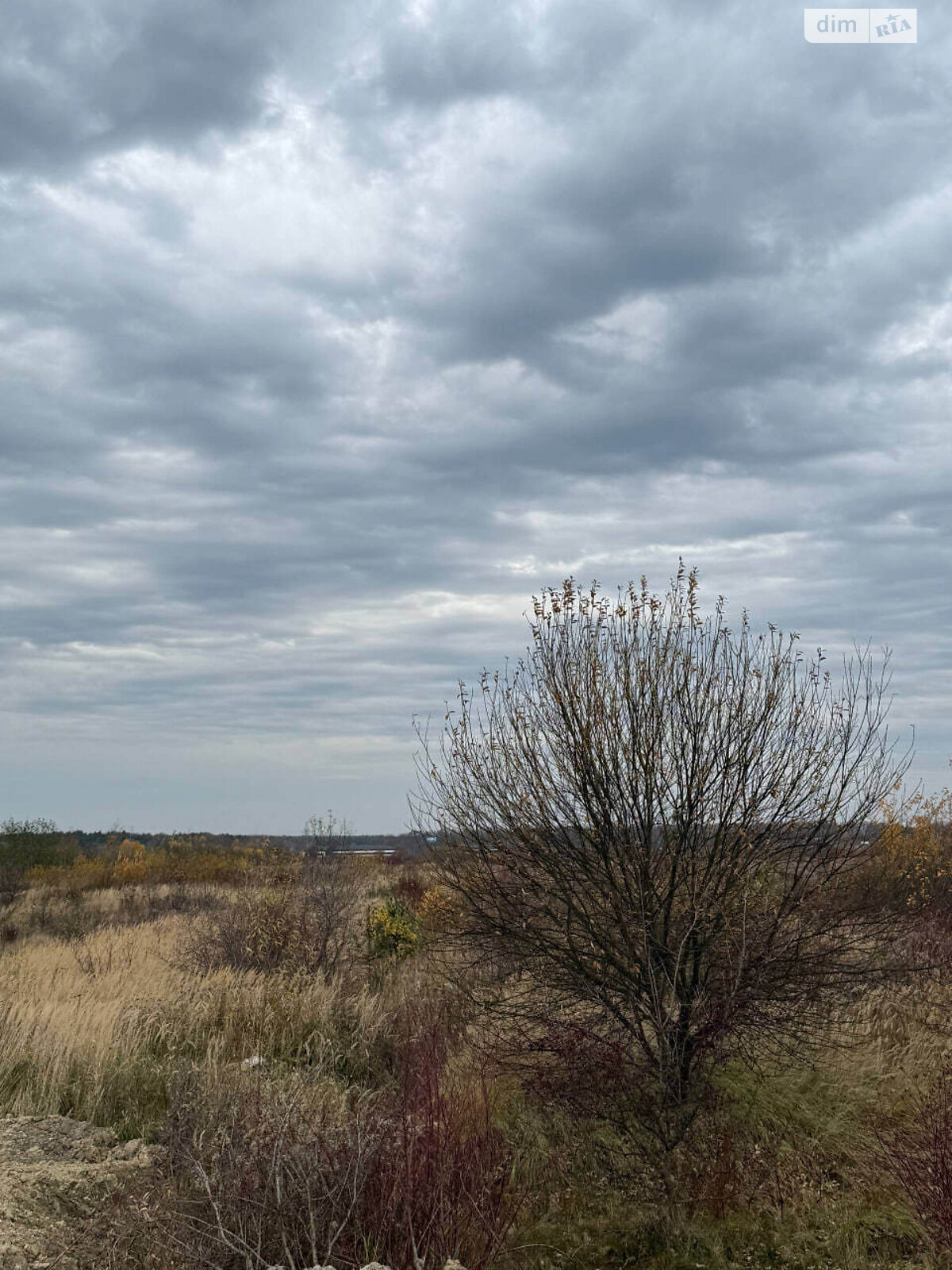 Земельный участок под жилую застройку в Скнилове, площадь 6 Га фото 1