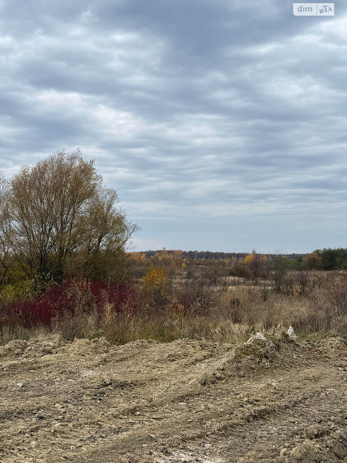 Земельный участок под жилую застройку в Скнилове, площадь 6 Га фото 1