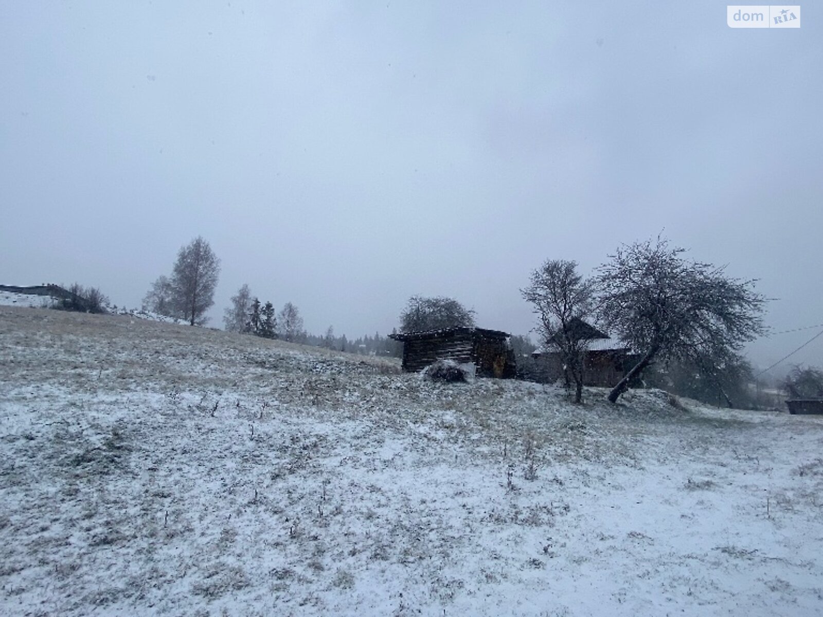 Земля під житлову забудову в Сколе, район Славське, площа 35 соток фото 1