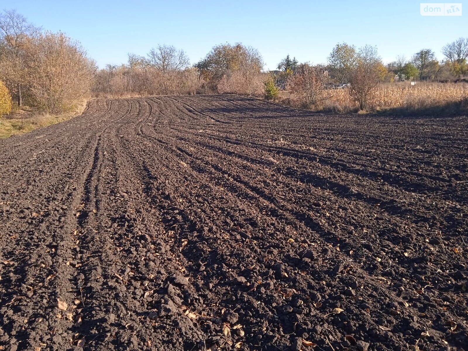 Земля под жилую застройку в Сквире, район Сквира, площадь 1 Га фото 1