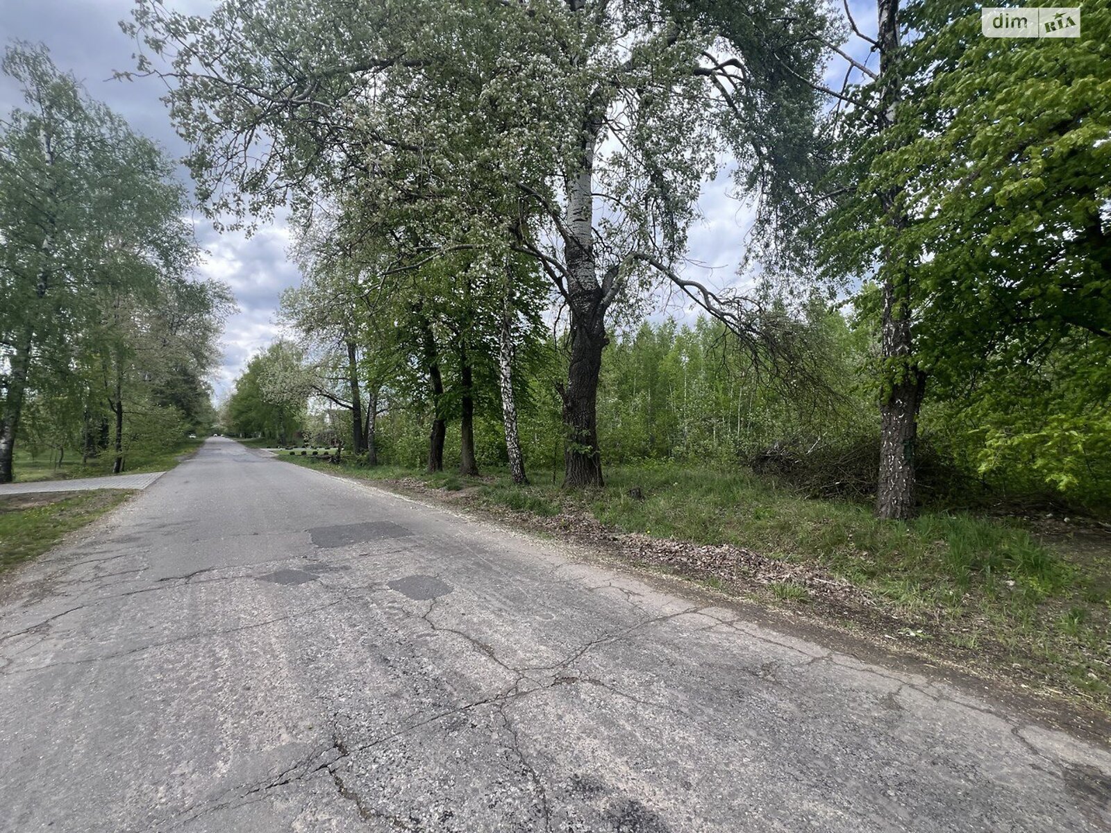 Земельна ділянка під житлову забудову в Славному, площа 21.5 сотки фото 1 Земельна ділянка під житлову забудову в Славному, площа 21.5 сотки фото 1