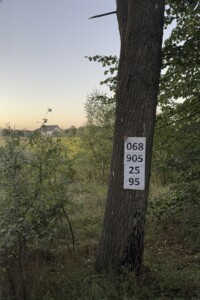 Земельна ділянка під житлову забудову в Славному, площа 21.5 сотки фото 2
