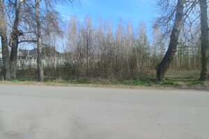 Земельна ділянка під житлову забудову в Славному, площа 21.5 сотки фото 2