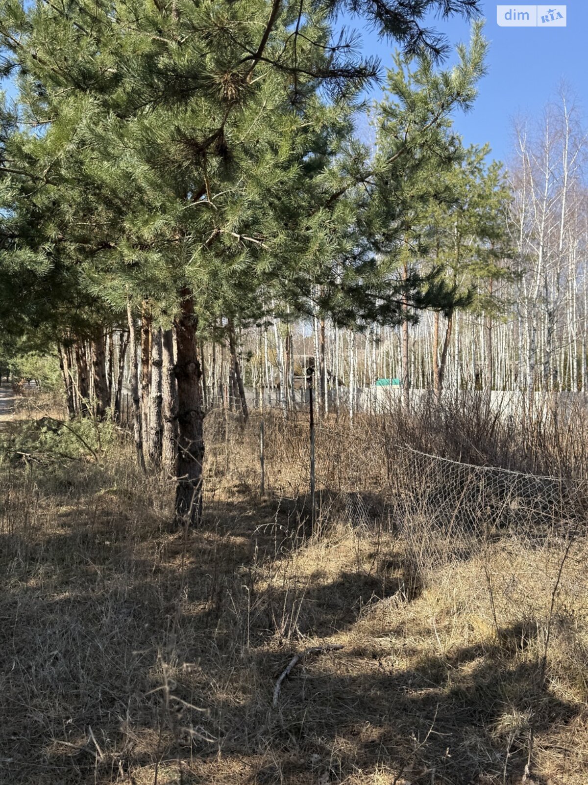 Земельна ділянка під житлову забудову в Славному, площа 12 соток фото 1 Земельна ділянка під житлову забудову в Славному, площа 12 соток фото 1