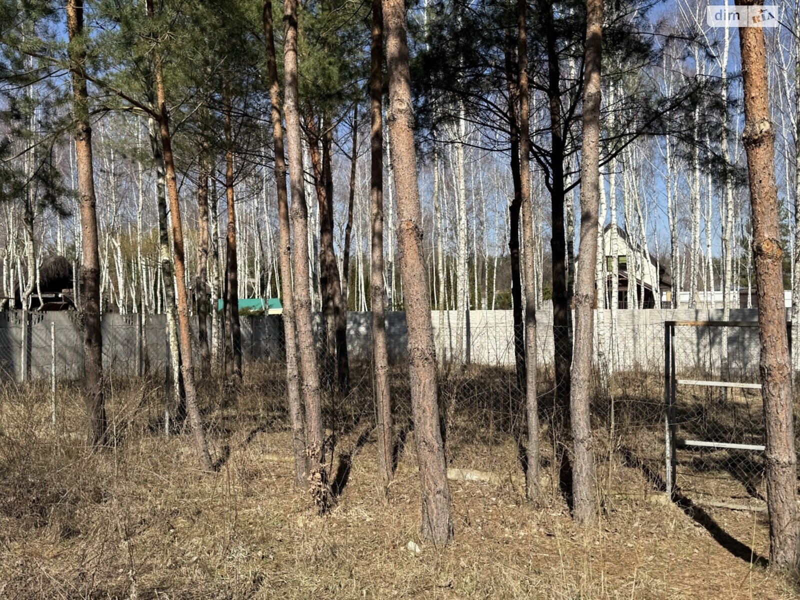 Земельна ділянка під житлову забудову в Славному, площа 12 соток фото 1 Земельна ділянка під житлову забудову в Славному, площа 12 соток фото 1