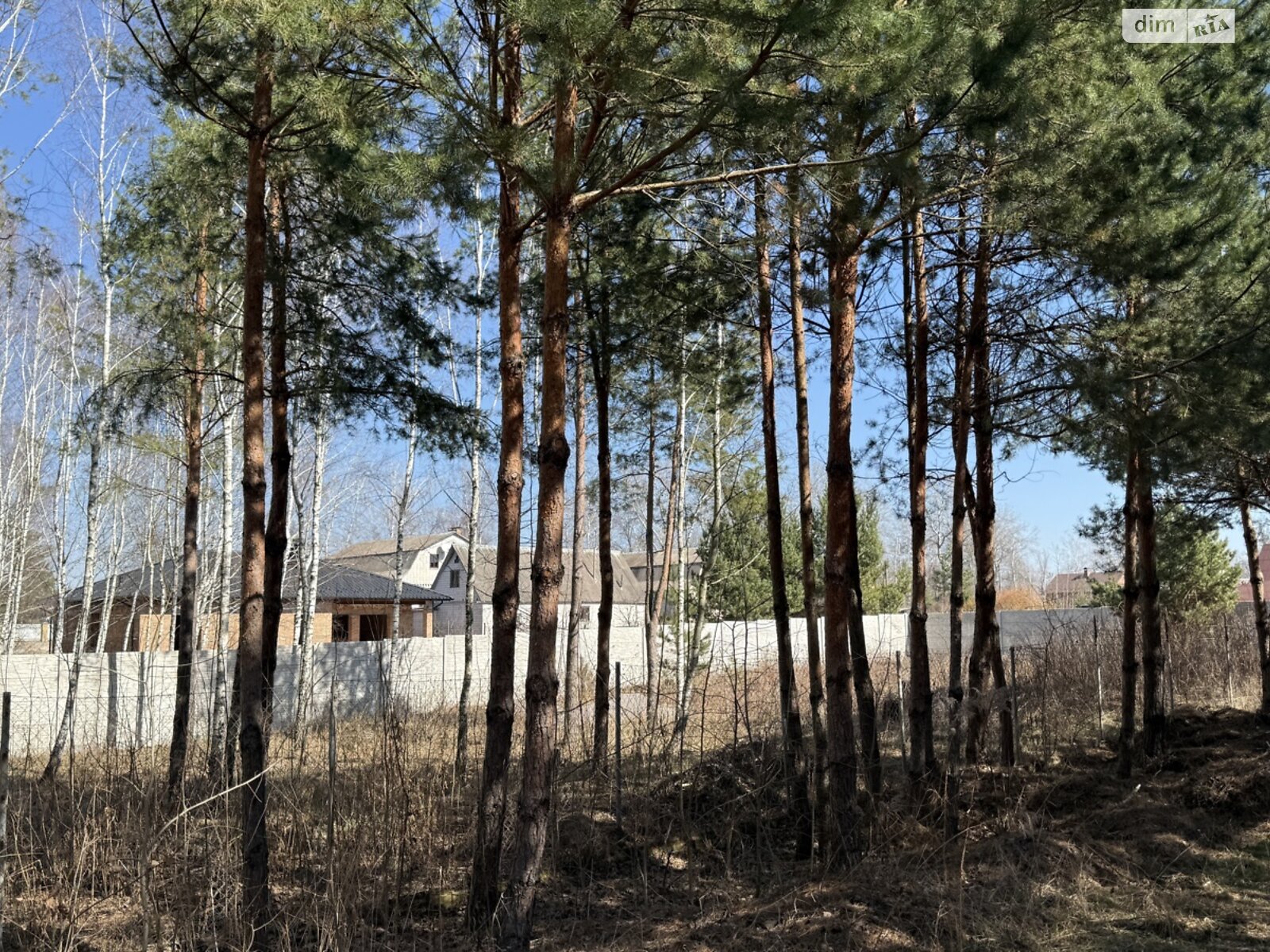 Земельна ділянка під житлову забудову в Славному, площа 12 соток фото 1 Земельна ділянка під житлову забудову в Славному, площа 12 соток фото 1
