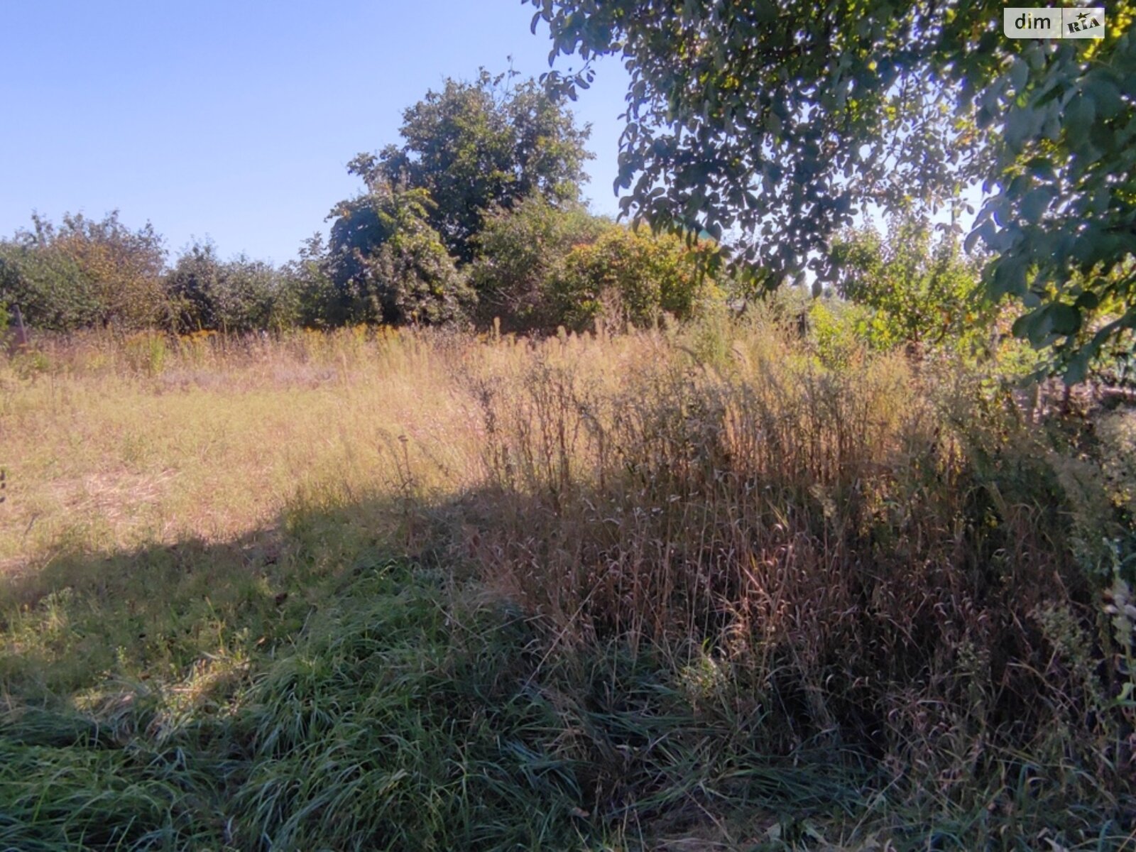 Земельный участок под жилую застройку в Славном, площадь 5 соток фото 1