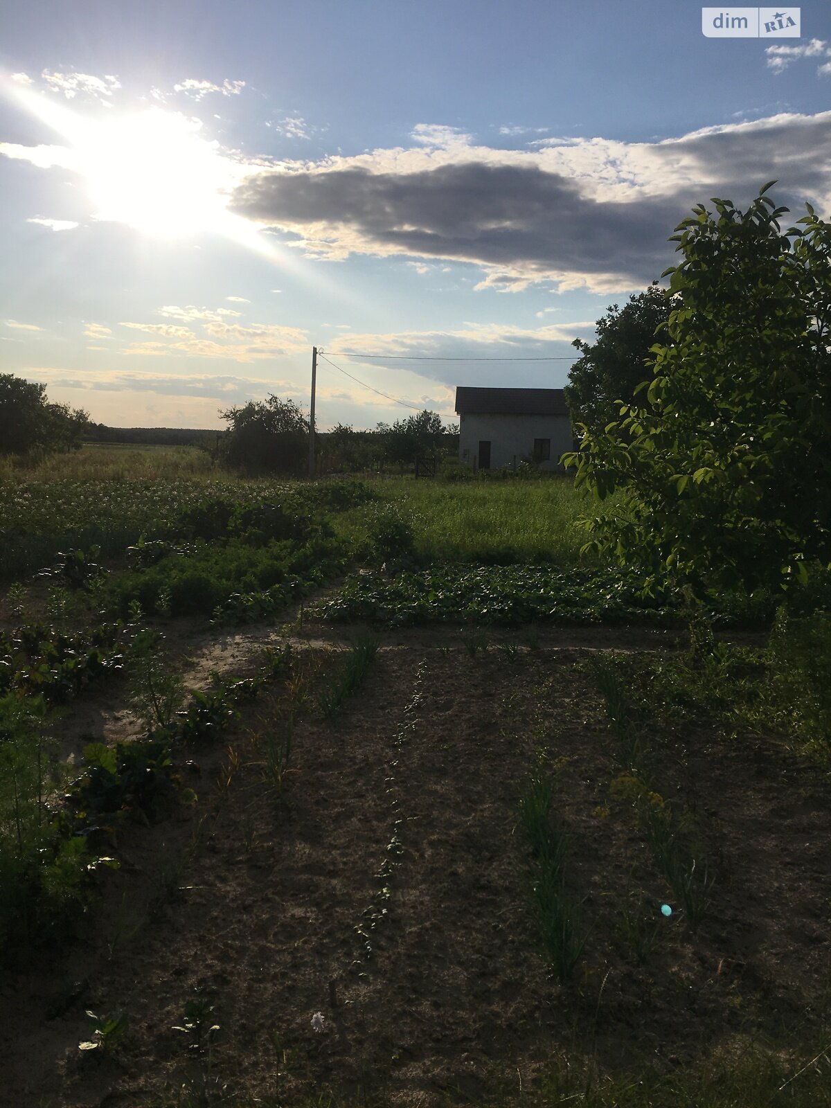 Земельный участок под жилую застройку в Слободе-Дашковецкой, площадь 16 соток фото 1