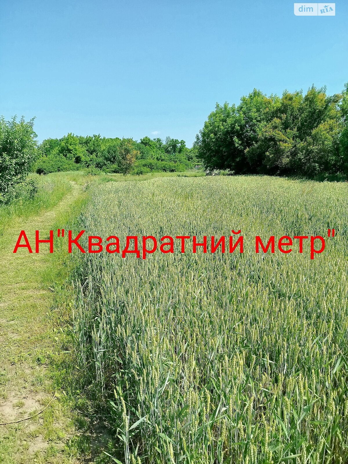 Земельна ділянка під житлову забудову в Смілі, площа 14 соток фото 1 Земельна ділянка під житлову забудову в Смілі, площа 14 соток фото 1