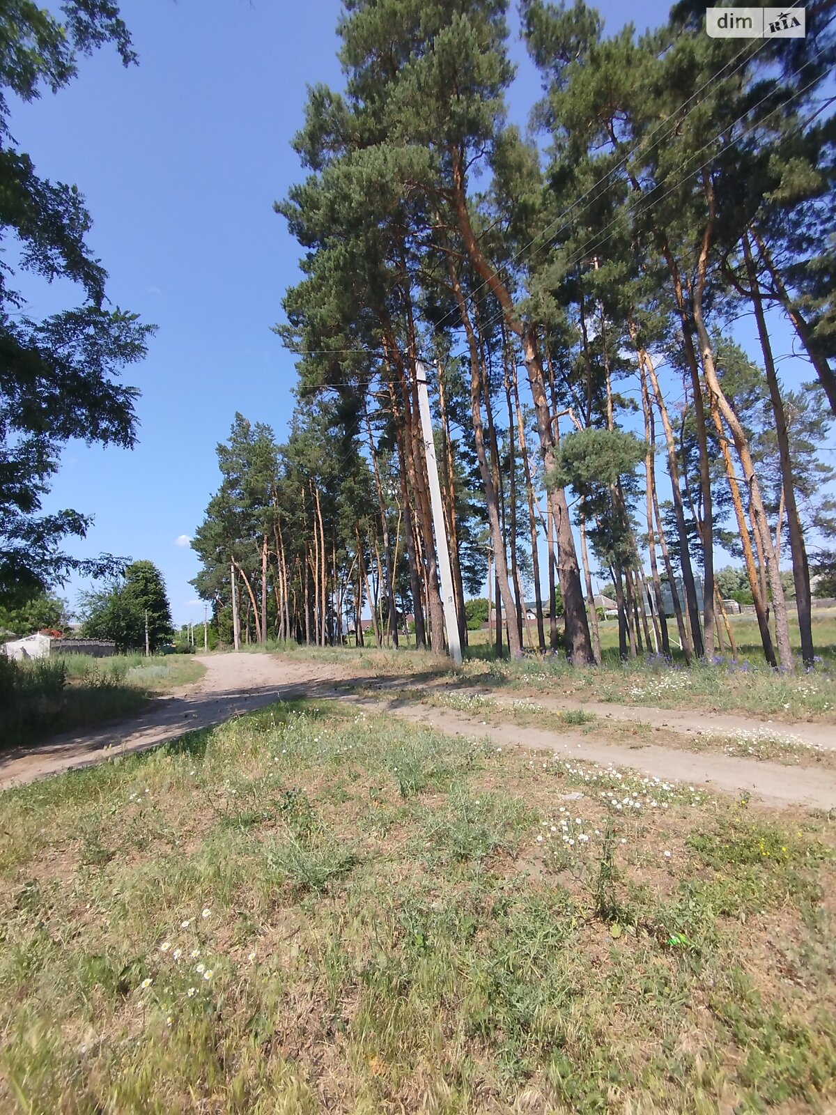 Земельна ділянка під житлову забудову в Смілі, площа 14 соток фото 1 Земельна ділянка під житлову забудову в Смілі, площа 14 соток фото 1