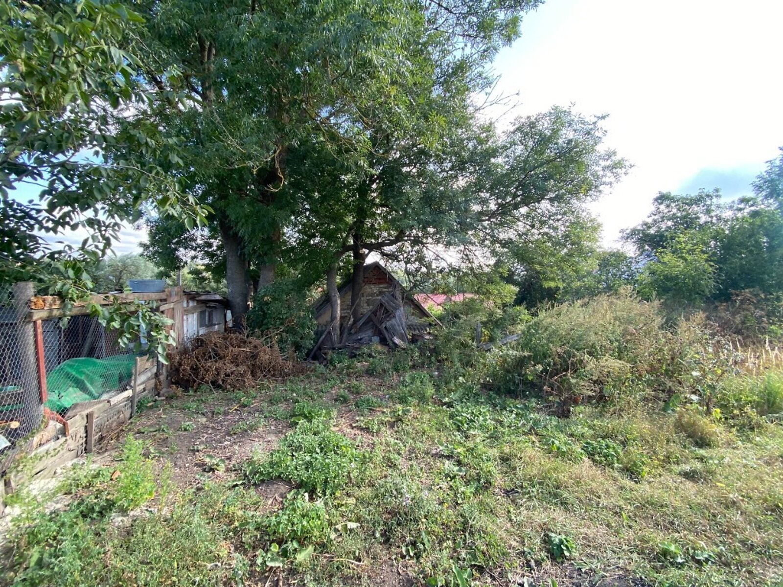 Земельна ділянка під житлову забудову в Смиківці, площа 31 сотка фото 1