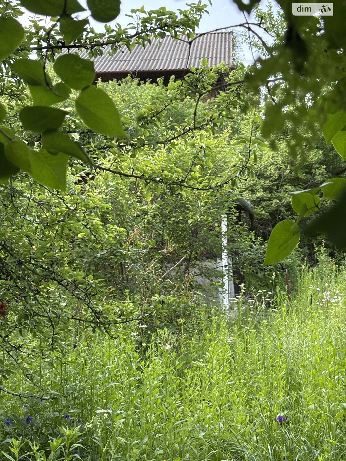 Земельна ділянка під житлову забудову в Смиківці, площа 6 соток фото 1 Земельна ділянка під житлову забудову в Смиківці, площа 6 соток фото 1