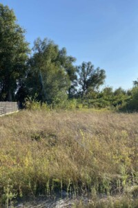 Земельна ділянка під житлову забудову в Соболівці, площа 15 соток фото 2
