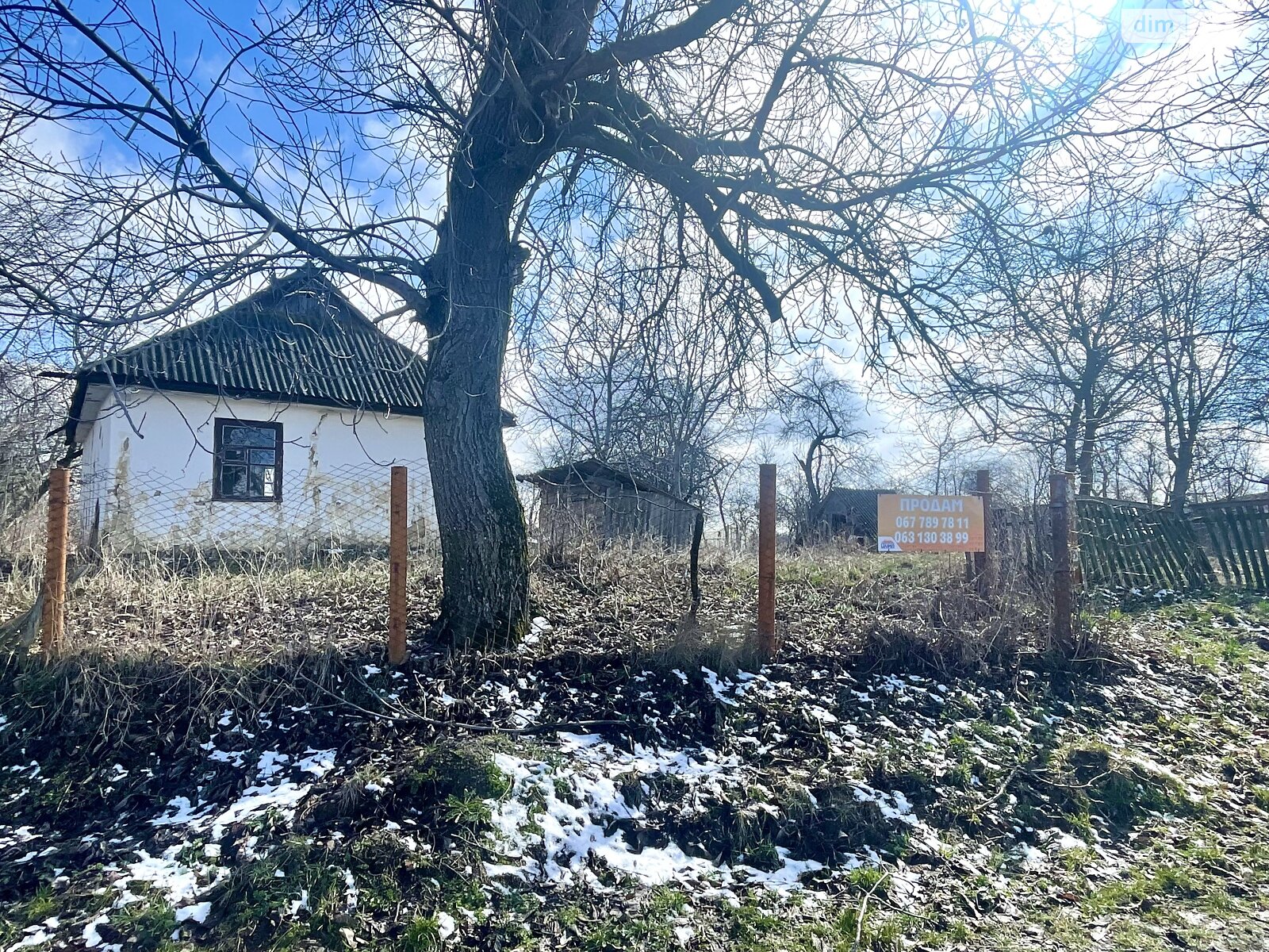 Земельна ділянка під житлову забудову в Сокиринцях, площа 38 соток фото 1