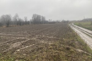 Земельный участок под жилую застройку в Сокиринцах, площадь 20.5 сотки фото 2 Земельный участок под жилую застройку в Сокиринцах, площадь 20.5 сотки фото 2