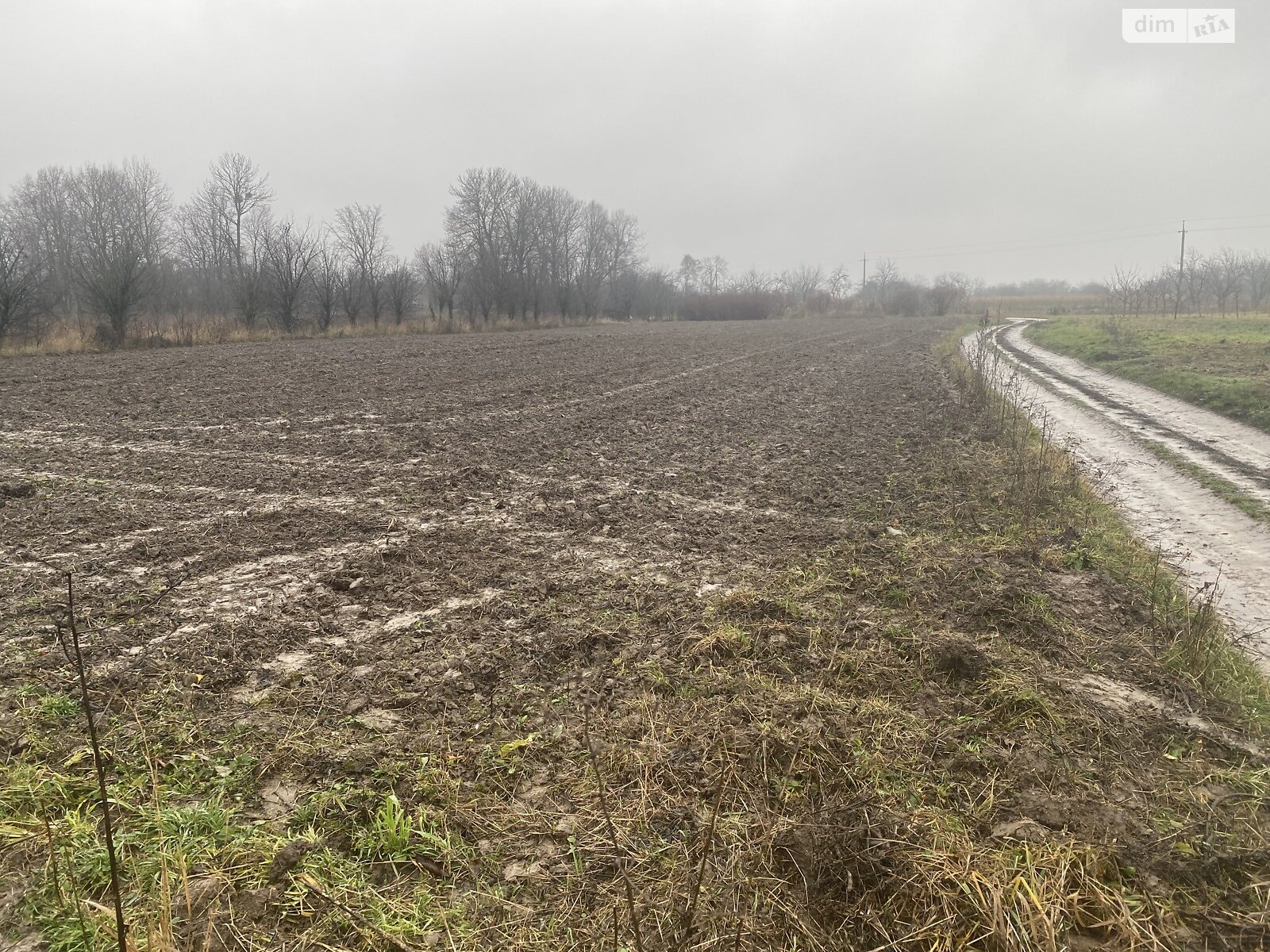Земельный участок под жилую застройку в Сокиринцах, площадь 20.5 сотки фото 1 Земельный участок под жилую застройку в Сокиринцах, площадь 20.5 сотки фото 1