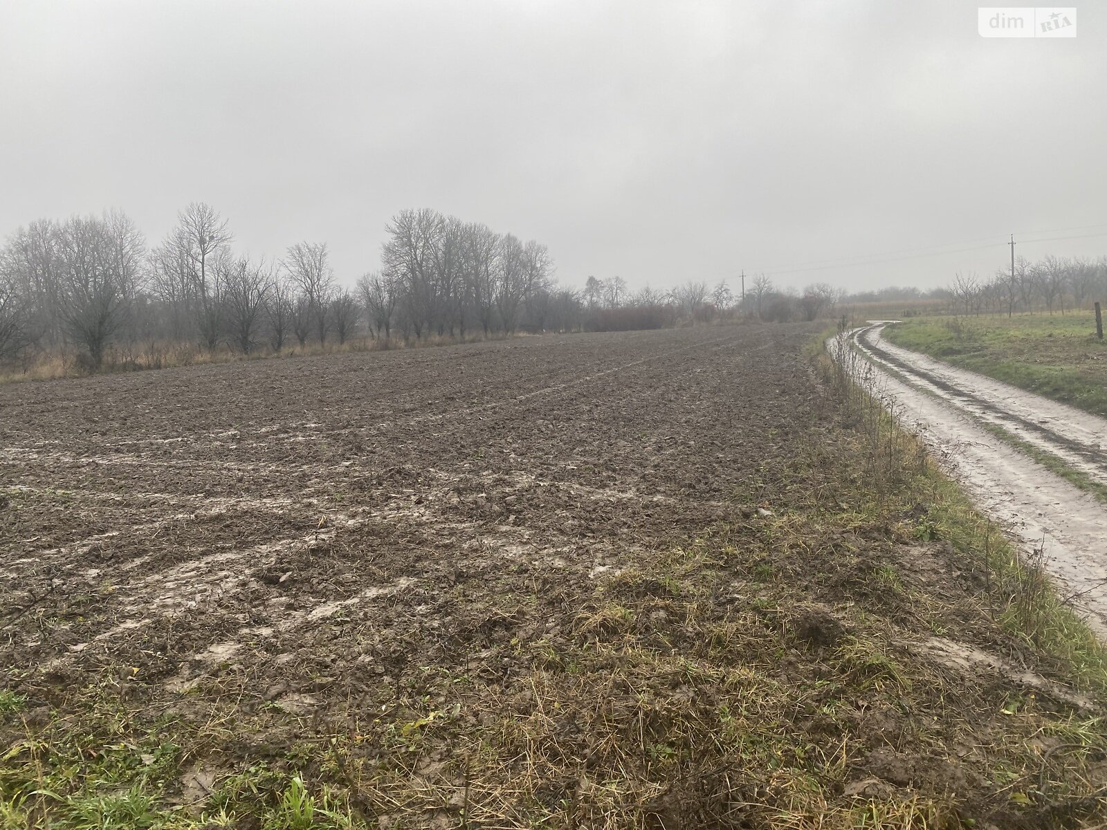 Земельный участок под жилую застройку в Сокиринцах, площадь 20.5 сотки фото 1 Земельный участок под жилую застройку в Сокиринцах, площадь 20.5 сотки фото 1