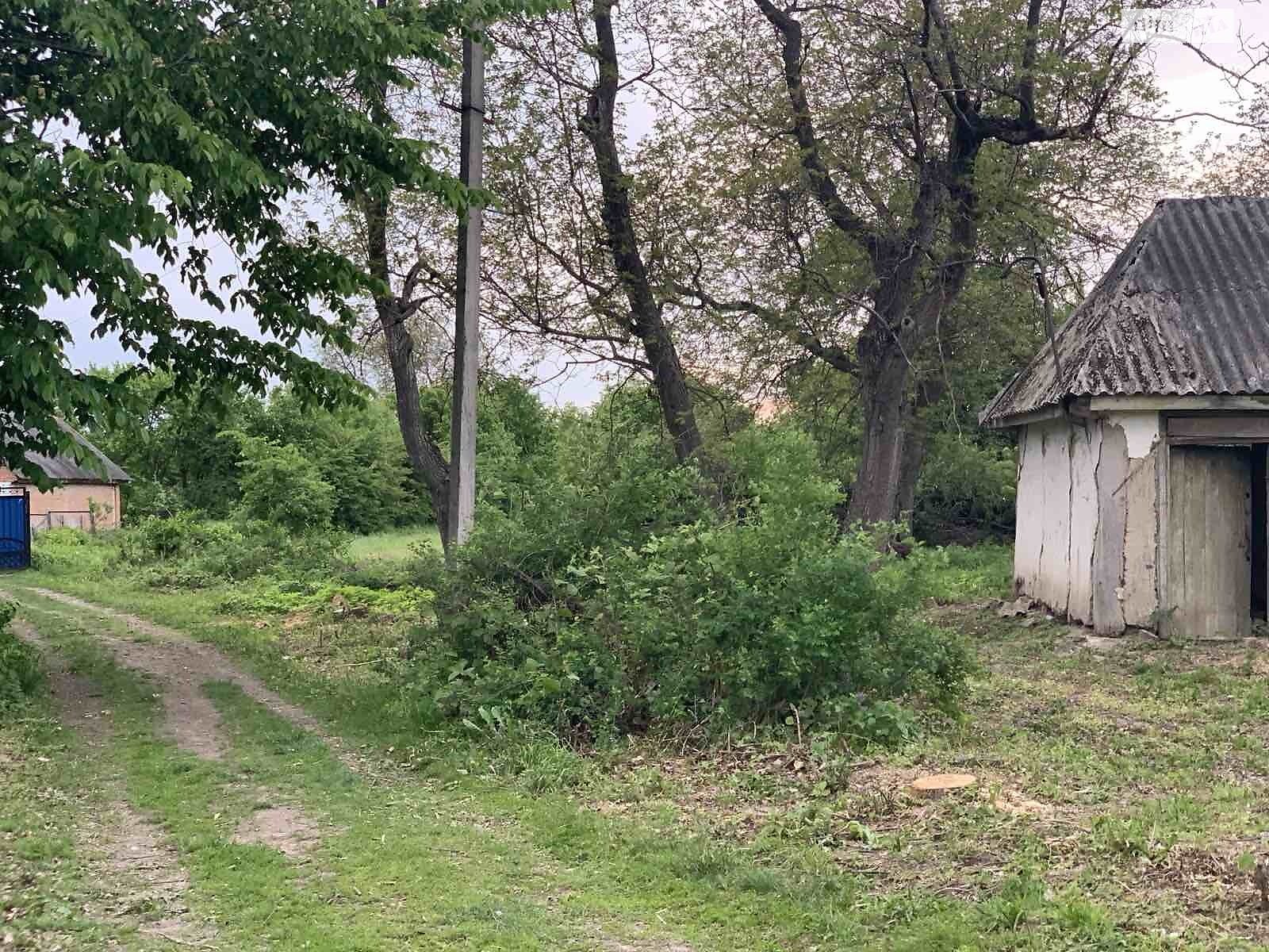 Земельна ділянка під житлову забудову в Сокиринцях, площа 41.6 сотки фото 1 Земельна ділянка під житлову забудову в Сокиринцях, площа 41.6 сотки фото 1