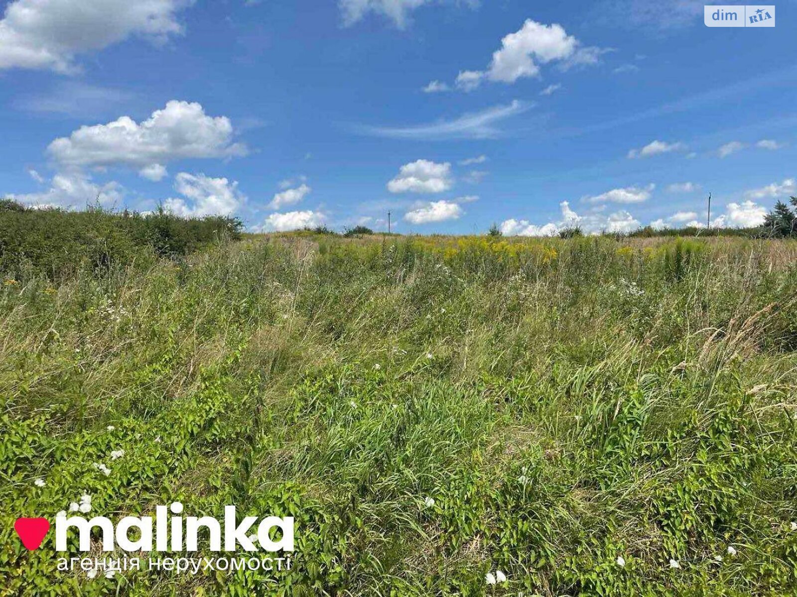 Земельна ділянка під житлову забудову в Сокільниках, площа 68 соток фото 1 Земельна ділянка під житлову забудову в Сокільниках, площа 68 соток фото 1