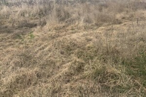 Земельна ділянка під житлову забудову в Сонячне, площа 18 соток фото 2