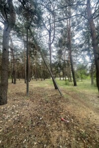 Земельный участок под жилую застройку в Солоницевке, площадь 15 соток фото 2 Земельный участок под жилую застройку в Солоницевке, площадь 15 соток фото 2