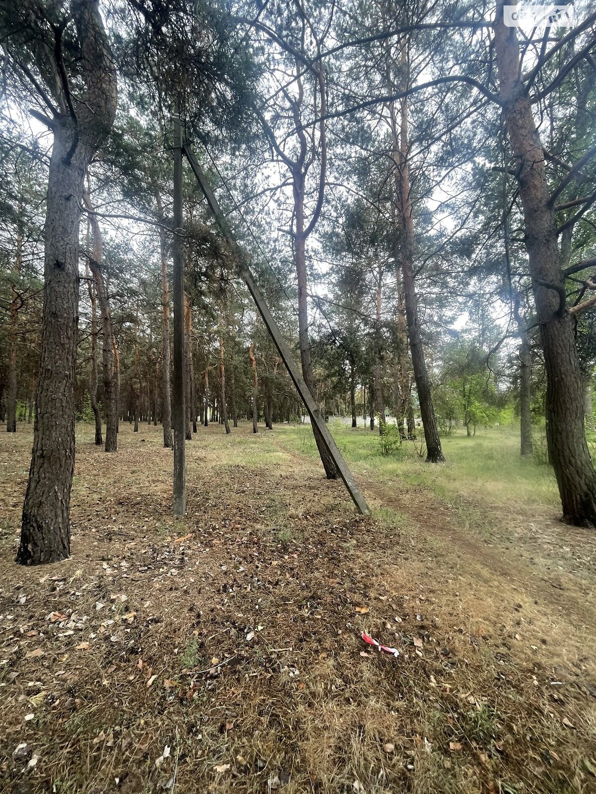 Земельный участок под жилую застройку в Солоницевке, площадь 15 соток фото 1 Земельный участок под жилую застройку в Солоницевке, площадь 15 соток фото 1