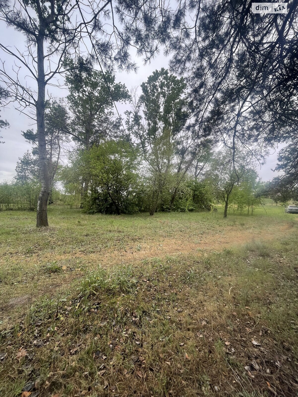 Земельный участок под жилую застройку в Солоницевке, площадь 15 соток фото 1 Земельный участок под жилую застройку в Солоницевке, площадь 15 соток фото 1